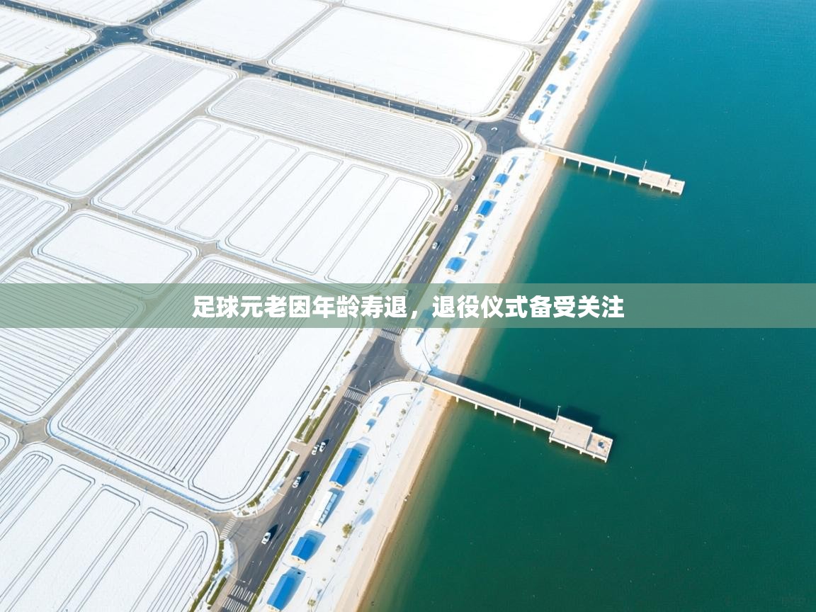 足球元老因年龄寿退，退役仪式备受关注