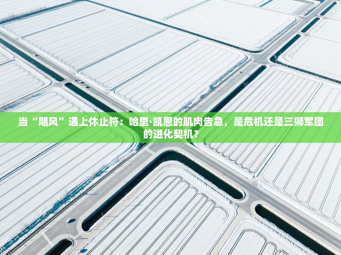 当“飓风”遇上休止符:哈里·凯恩的肌肉告急,是危机还是三狮军团的进化契机?