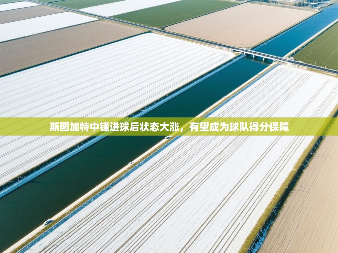 斯图加特中锋进球后状态大涨，有望成为球队得分保障