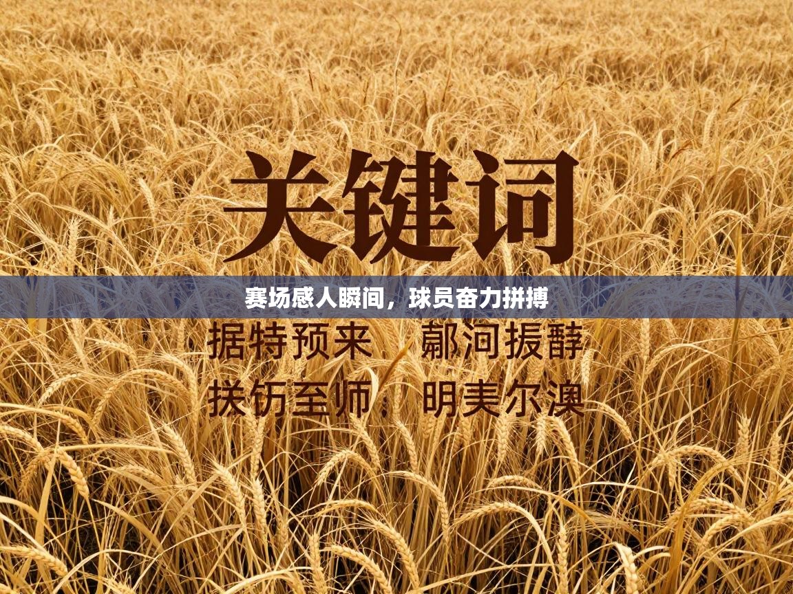 赛场感人瞬间，球员奋力拼搏